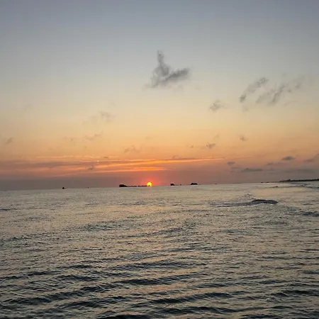 Des Pontons - Cap Est Saint-Côme-de-Fresné