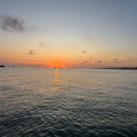 Des Pontons - Cap Est - Vue