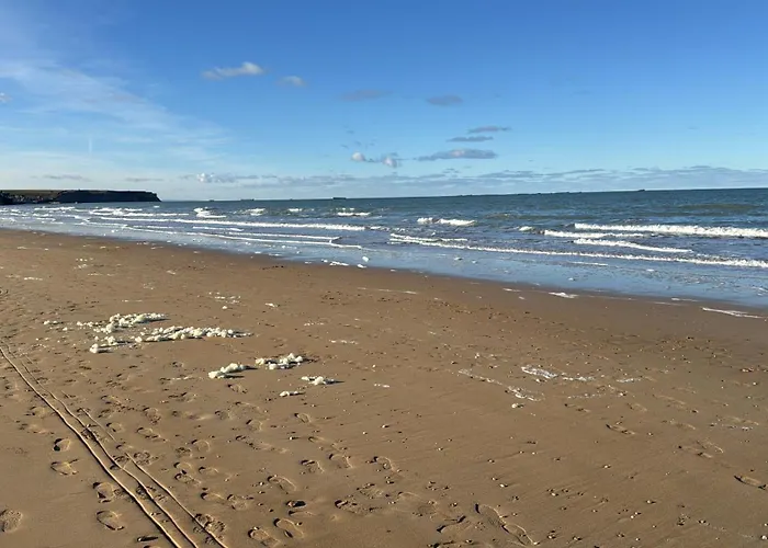 Des Pontons - Cap Est - Vue